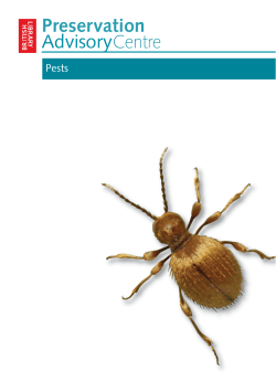 Managing pests in paper-based collections