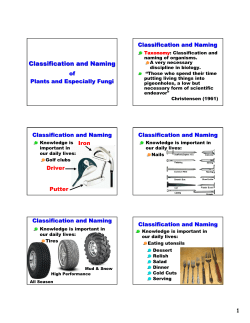 Classification and Naming