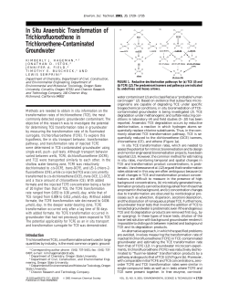In Situ Anaerobic Transformation of Trichlorofluoroethene in