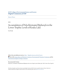 Accumulation of Polychlorinated Biphenyls in the Lower Trophic