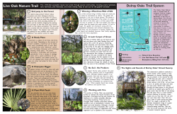 Delray Oaks Trail Guide