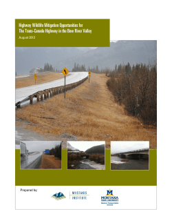 Highway Wildlife Mitigation Opportunities for The