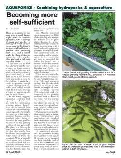 AQUAPONICS - Combining hydroponics