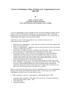 Factors Contributing to Major Problems in St