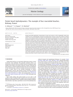 Pocket beach hydrodynamics: The example of four