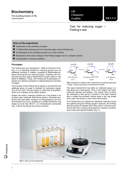 C6.1.1.1 Test for reducing sugar