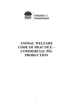 Animal welfare code of practice - commercial pig production