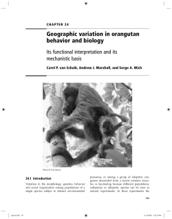 Geographic variation in orangutan behavior and biology
