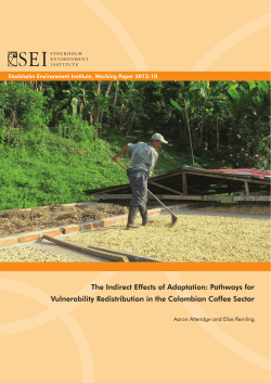 (2013) - The Indirect Effects of Adaptation: Pathways for Vulnerability