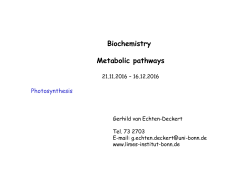 Biochemistry Metabolic pathways - Limes-Institut-Bonn