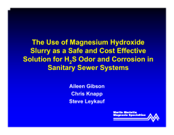 Magnesium Hydroxide Slurry: A Safe, Cost Effective Solution for