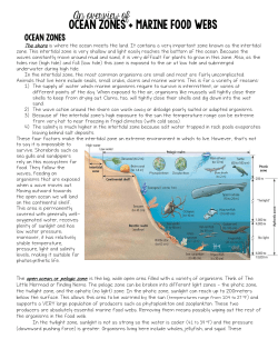 ocean zones + marine food webs