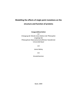 Modelling the effects of single point mutations on the structure