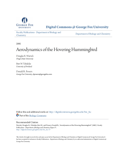 Aerodynamics of the Hovering Hummingbird