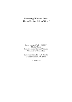 Mourning Without Loss: The Affective Life of Grief - UvA-DARE