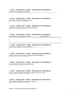 1. VIEW - ANIMATION / TOPIC - DIVISIONS OF THE BRAIN Name