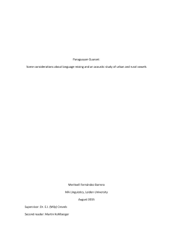 Paraguayan Guarani: Some considerations about language mixing