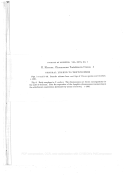 Figs. 1–5 aud 7–46. Somatic mitoses from root tips of Crocus