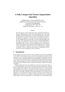A Fully Unsupervised Texture Segmentation Algorithm