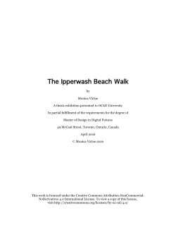 Thesis Document &ndash; 107 pages &ndash; Low resolution