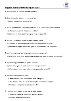 14. H Standard Model Questions