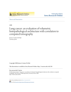 Lung cancer: an evaluation of volumetric histopathological