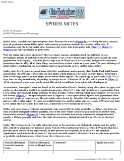 spider mites - Ohio Floriculture