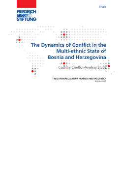 The dynamics of conflict in the multi