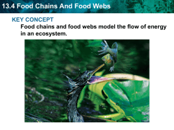 13.4 Food Chains And Food Webs