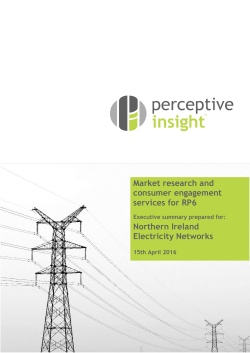 Executive Summary - Northern Ireland Electricity Networks