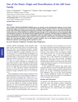 Letter Out of the Water: Origin and Diversification