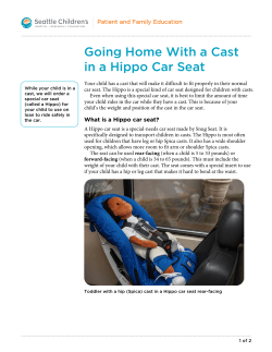PE1844 Going Home With a Cast in a Hippo Car Seat
