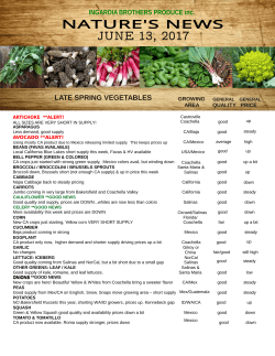 Market News - Ingardia Bros