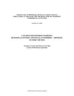 canadian registered charities: business activities and social enterprise