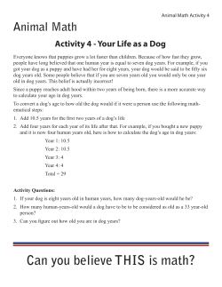 Can you believe THIS is math? Animal Math