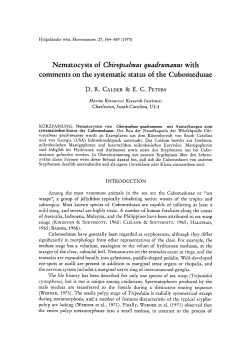 Nematocysts of Chiropsalmus quadrumanus