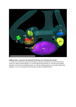 Additional file 2. Interactive 3D model of the left inner ear of