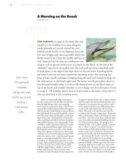 A Morning on the Beach: Surfing and Psychedelics