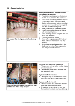 H8 - Cross-fostering - Pig Research Centre