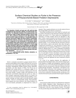 Surface Chemical Studies on Pyrite in the Presence of