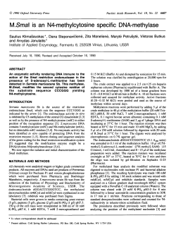 M.Smal is an N4-methylcytosine specific DNA