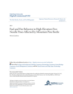 Fuel and Fire Behavior in High-Elevation Five