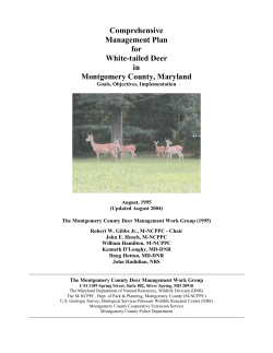 Comprehensive Management Plan for White