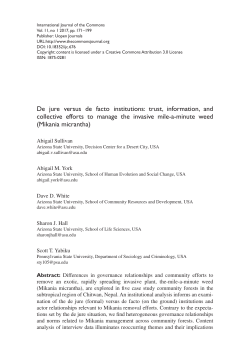 De jure versus de facto institutions: trust, information, and collective