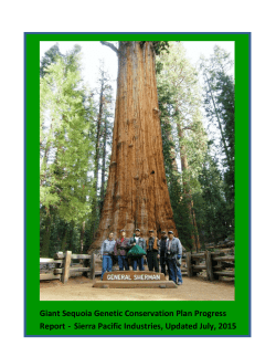 Giant Sequoia Genetic Conservation Plan Progress Report