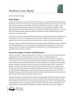 Nadina Vulnerability Assessment