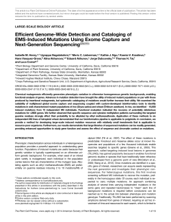 Efficient Genome-Wide Detection and Cataloging of