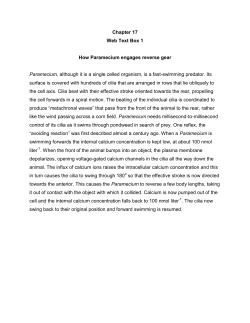 17.1 How Paramecium engages reverse gear