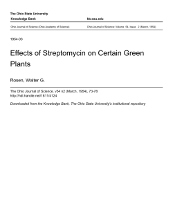 Effects of Streptomycin on Certain Green Plants