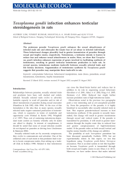 Toxoplasma gondii infection enhances testicular steroidogenesis in